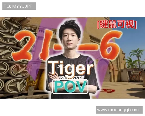 老虎竞技vs老男孩